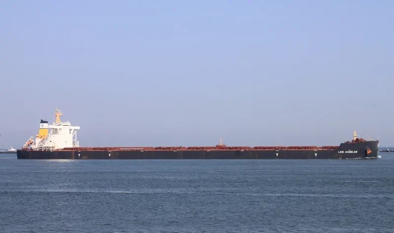 LOS ANGELES Bulk Carrier IMO 9588483 photo 3