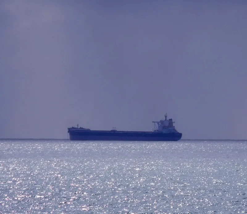 LOS ANGELES Bulk Carrier IMO 9588483 photo 10