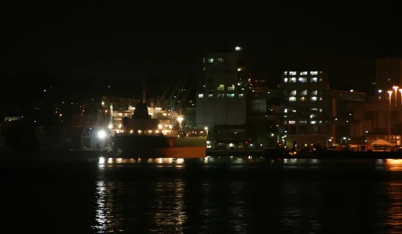 CENTURY BRIGHT Bulk Carrier IMO 9588500 photo 2
