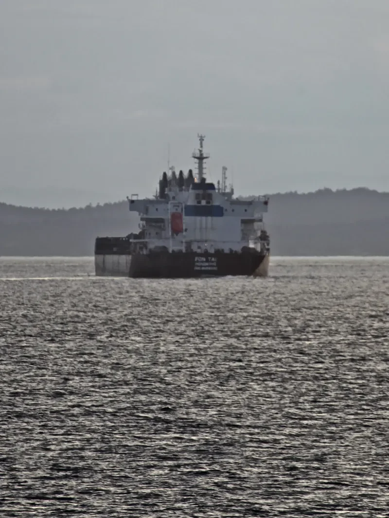 CENTURY BRIGHT Bulk Carrier IMO 9588500 photo 6