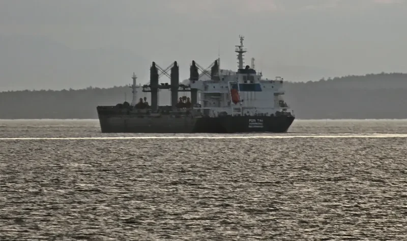 CENTURY BRIGHT Bulk Carrier IMO 9588500 photo 7