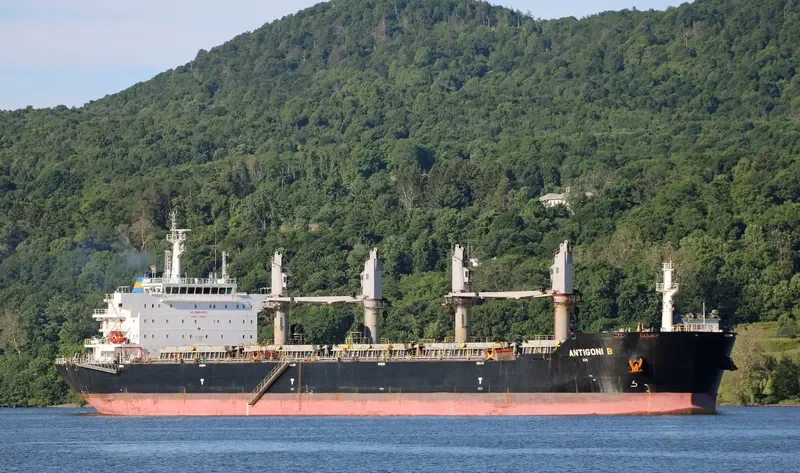 ANTIGONI B Bulk Carrier IMO 9588512 photo 4