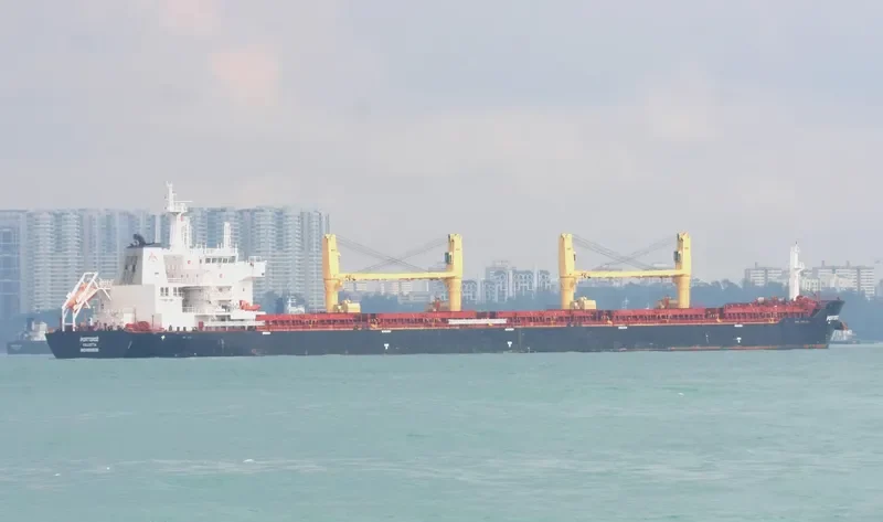 PATMOS JOHN Bulk Carrier IMO 9588536 photo 10