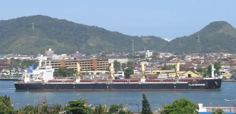 AGERI Bulk Carrier IMO 9588574