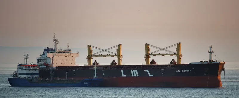 YANGTZE ELITE Bulk Carrier IMO 9588586
