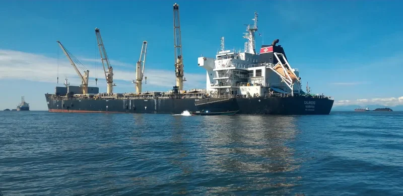 YANGTZE ELITE Bulk Carrier IMO 9588586 photo 4