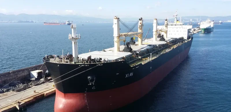 YANGTZE ELITE Bulk Carrier IMO 9588586 photo 6