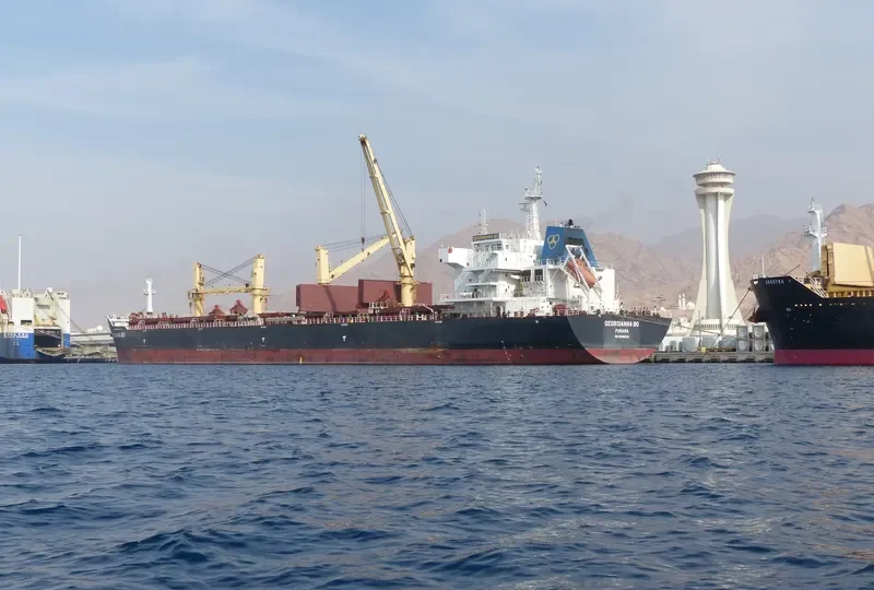 YANGTZE ELITE Bulk Carrier IMO 9588586 photo 8