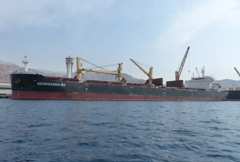 YANGTZE ELITE Bulk Carrier IMO 9588586 photo 9