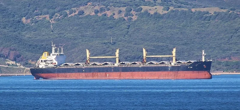 YANGTZE ELITE Bulk Carrier IMO 9588586 photo 10
