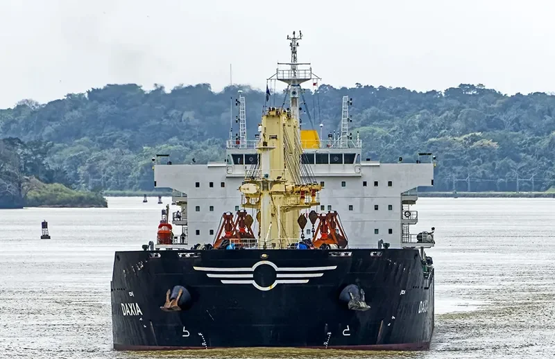 DAXIA Bulk Carrier IMO 9588598 photo 3