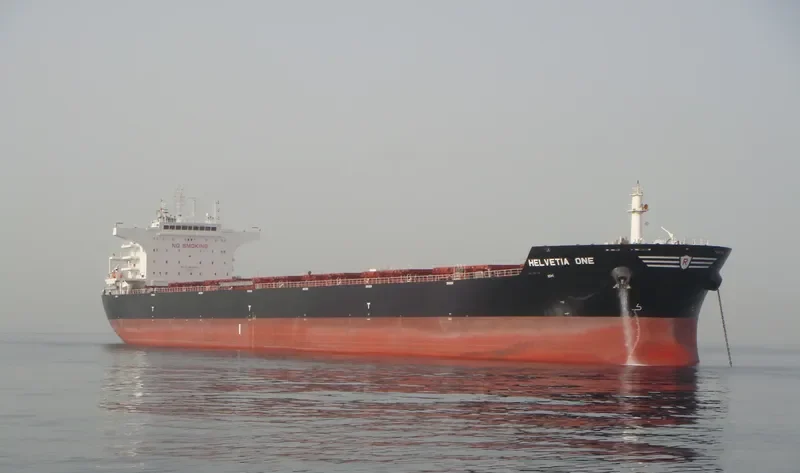 HELVETIA ONE Bulk Carrier IMO 9588603 photo 7