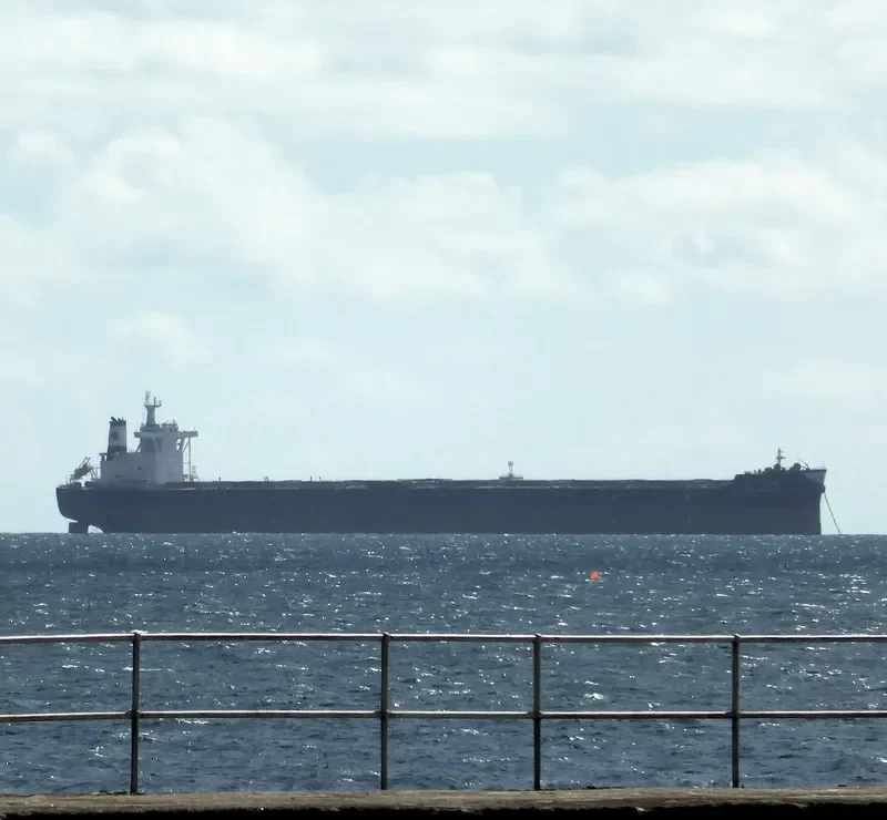 CHINA PIONEER Bulk Carrier IMO 9588768 photo 2