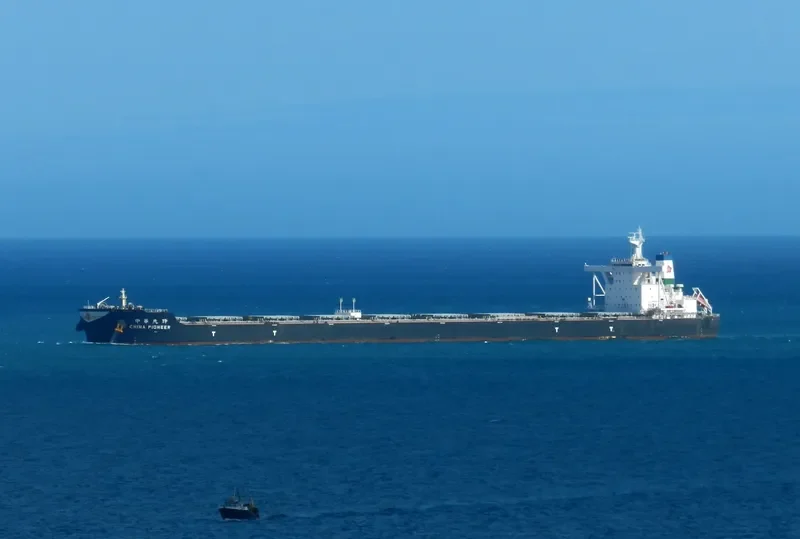 CHINA PIONEER Bulk Carrier IMO 9588768 photo 5