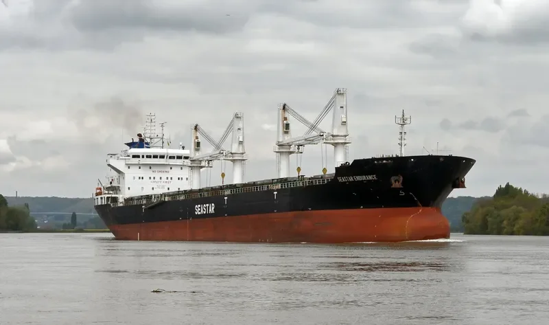 SEASTAR ENDURANCE Bulk Carrier IMO 9588873 photo 2