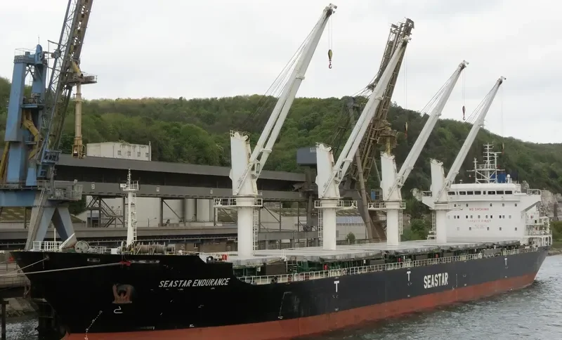 SEASTAR ENDURANCE Bulk Carrier IMO 9588873 photo 4