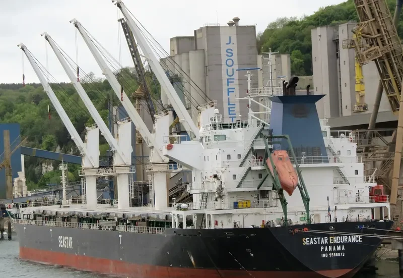 SEASTAR ENDURANCE Bulk Carrier IMO 9588873 photo 5