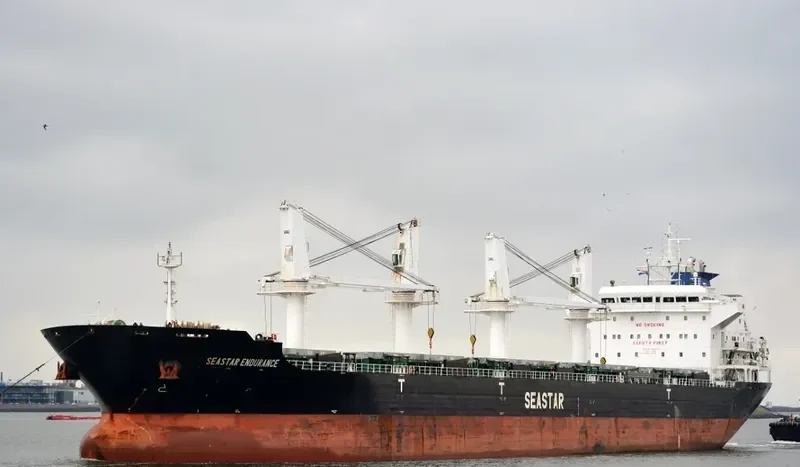 SEASTAR ENDURANCE Bulk Carrier IMO 9588873 photo 6