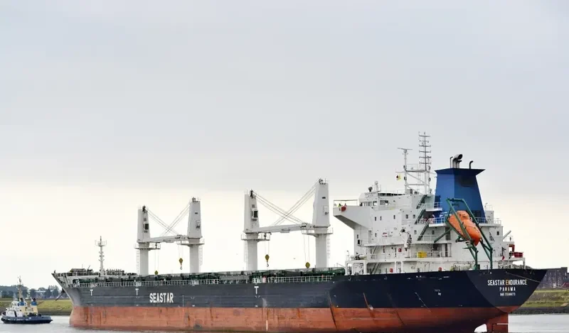 SEASTAR ENDURANCE Bulk Carrier IMO 9588873 photo 7