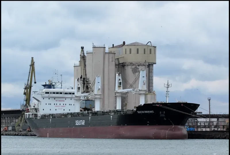 SEASTAR ENDURANCE Bulk Carrier IMO 9588873 photo 8