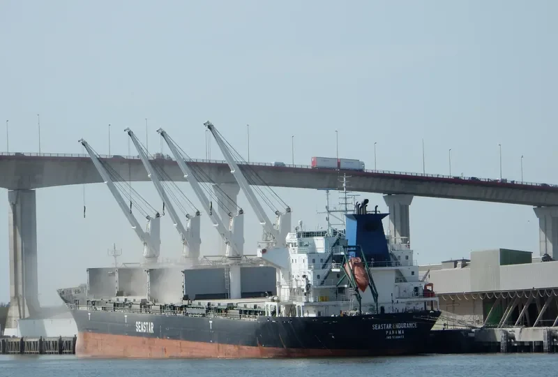 SEASTAR ENDURANCE Bulk Carrier IMO 9588873 photo 9