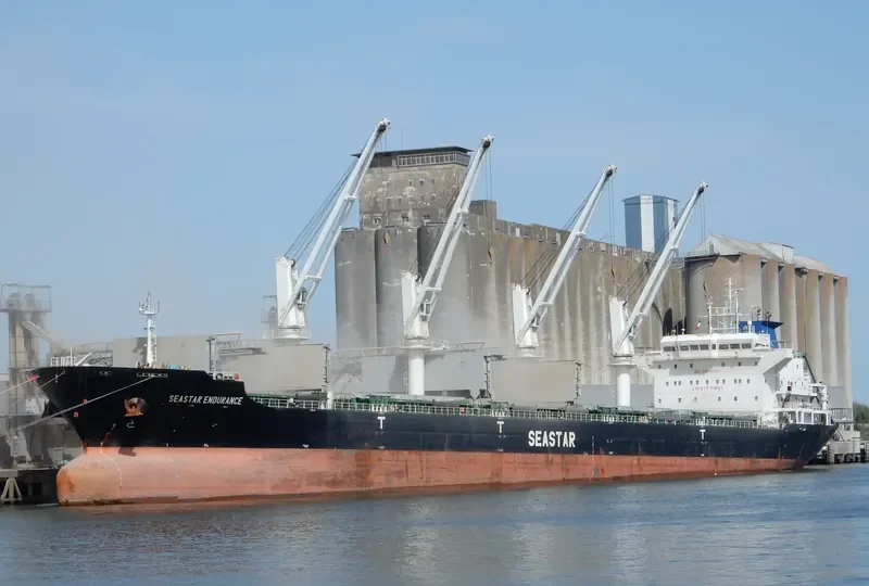 SEASTAR ENDURANCE Bulk Carrier IMO 9588873 photo 10