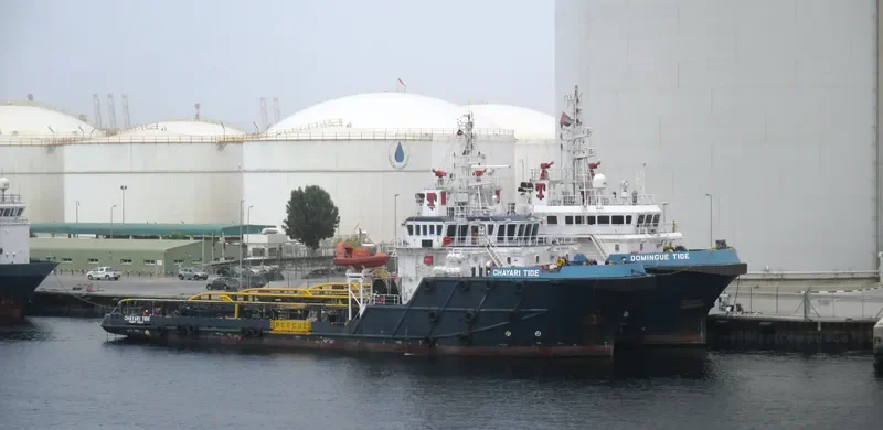 CHAYARI TIDE Multi-Purpose Vessel IMO 9589061 photo 6