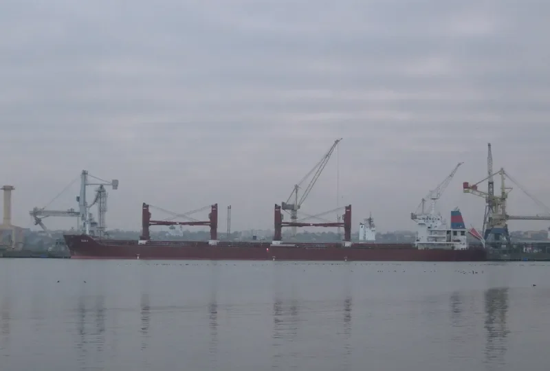 SEAS 5 Bulk Carrier IMO 9589097