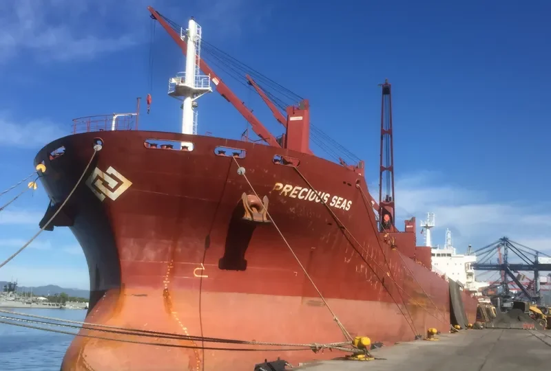 SEAS 5 Bulk Carrier IMO 9589097 photo 2