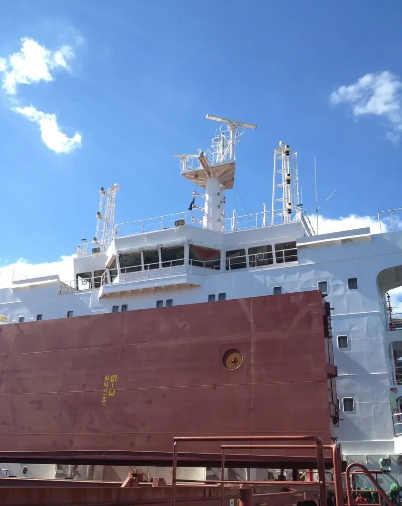 SEAS 5 Bulk Carrier IMO 9589097 photo 8