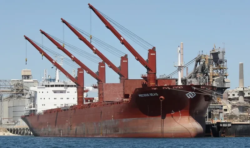 SEAS 5 Bulk Carrier IMO 9589097 photo 9
