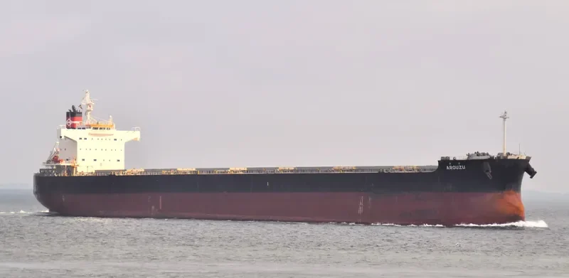 AROUZU Bulk Carrier IMO 9589138 photo 6