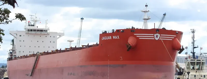 JAGUAR MAX Bulk Carrier IMO 9589140