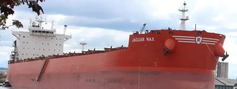 JAGUAR MAX Bulk Carrier IMO 9589140 photo 2