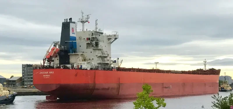 JAGUAR MAX Bulk Carrier IMO 9589140 photo 5