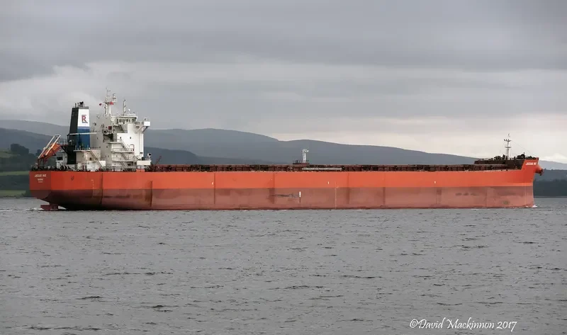 JAGUAR MAX Bulk Carrier IMO 9589140 photo 6