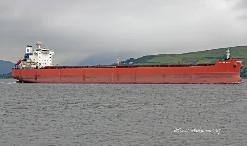 JAGUAR MAX Bulk Carrier IMO 9589140 photo 7