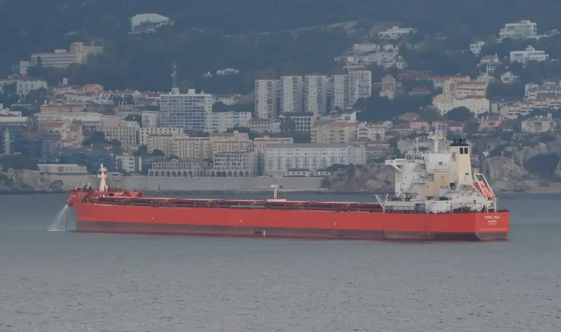 PUMA MAX Bulk Carrier IMO 9589152 photo 2