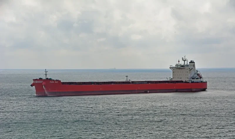 PUMA MAX Bulk Carrier IMO 9589152 photo 3
