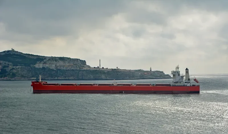PUMA MAX Bulk Carrier IMO 9589152 photo 4