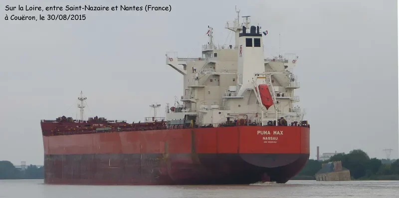 PUMA MAX Bulk Carrier IMO 9589152 photo 8