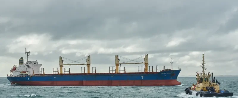 VICTORIA HARBOUR Bulk Carrier IMO 9589229