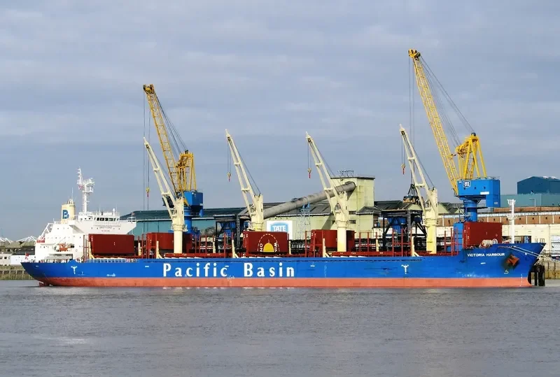 VICTORIA HARBOUR Bulk Carrier IMO 9589229 photo 2