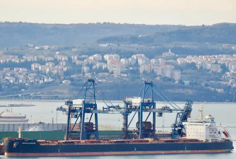 BUILDER Bulk Carrier IMO 9589255 photo 2