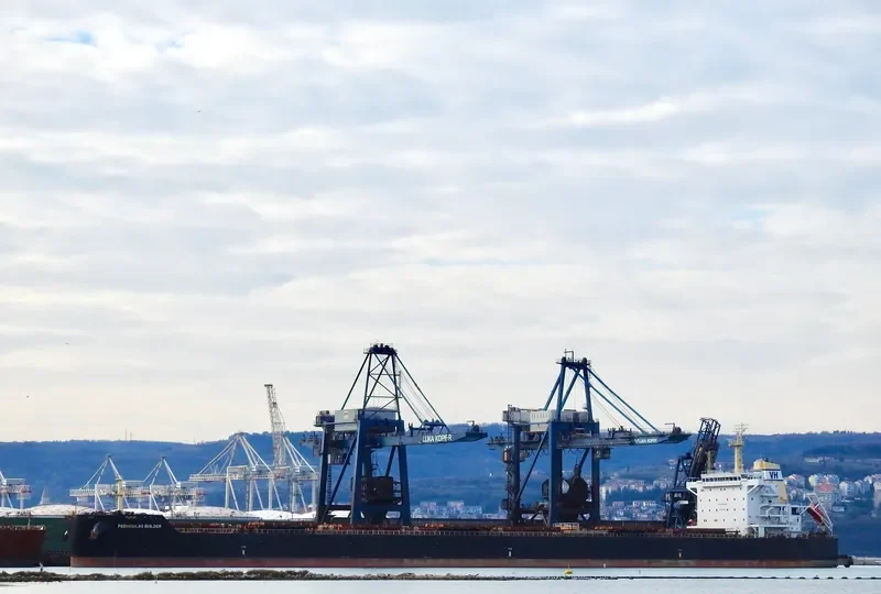 BUILDER Bulk Carrier IMO 9589255 photo 3