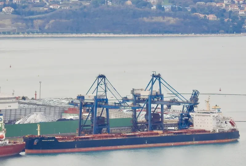 BUILDER Bulk Carrier IMO 9589255 photo 4