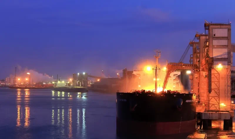 BUILDER Bulk Carrier IMO 9589255 photo 6
