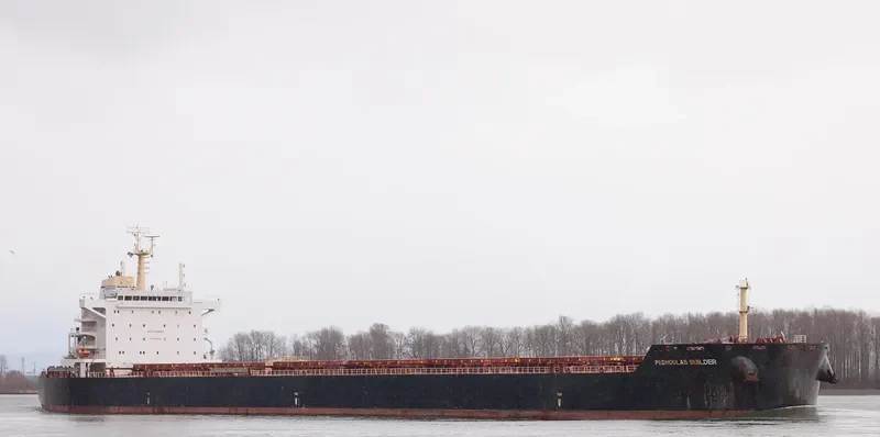 BUILDER Bulk Carrier IMO 9589255 photo 7