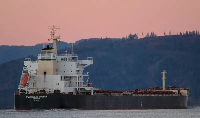 BUILDER Bulk Carrier IMO 9589255 photo 9