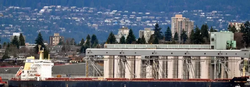 FARMER Bulk Carrier IMO 9589267 photo 3